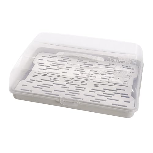 BranQ - Home essential Récipient à gâteau rectangulaire en p