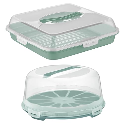 BORNOVA Set de Transport pour Gâteaux et Pâtisseries - Boite