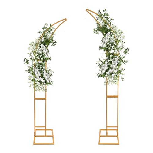 AOOUNGM Arche de Mariage Incurvée, 2 Supports Toile de Fond 